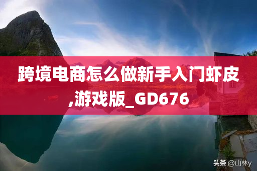 跨境电商怎么做新手入门虾皮,游戏版_GD676