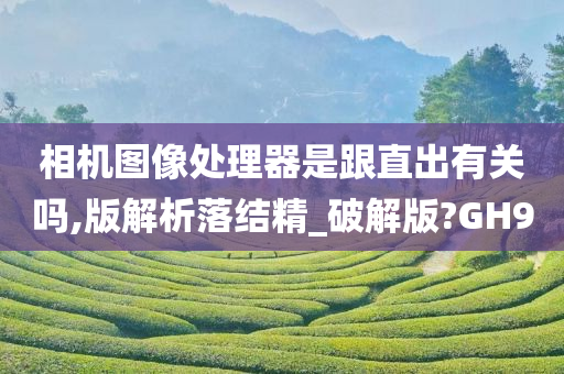 相机图像处理器是跟直出有关吗,版解析落结精_破解版?GH9