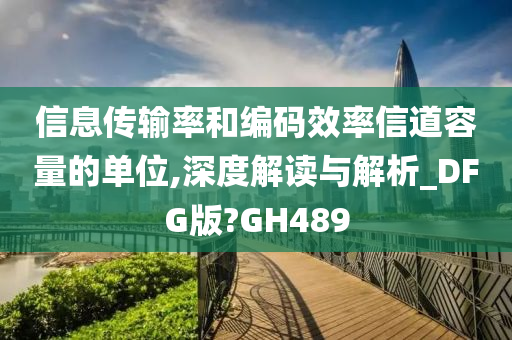 信息传输率和编码效率信道容量的单位,深度解读与解析_DFG版?GH489