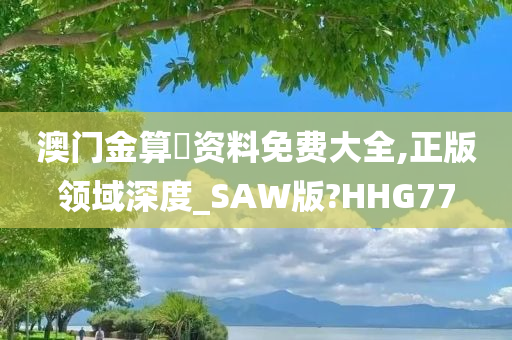 澳门金算盤资料免费大全,正版领域深度_SAW版?HHG77