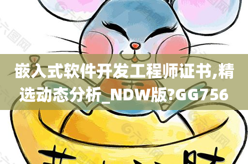 嵌入式软件开发工程师证书,精选动态分析_NDW版?GG756