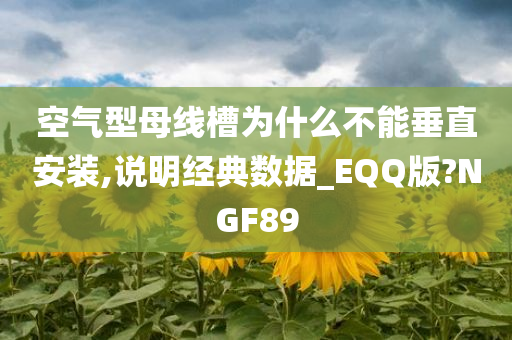 空气型母线槽为什么不能垂直安装,说明经典数据_EQQ版?NGF89