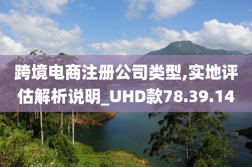 跨境电商注册公司类型,实地评估解析说明_UHD款78.39.14