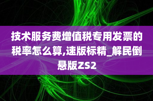 技术服务费增值税专用发票的税率怎么算,速版标精_解民倒悬版ZS2