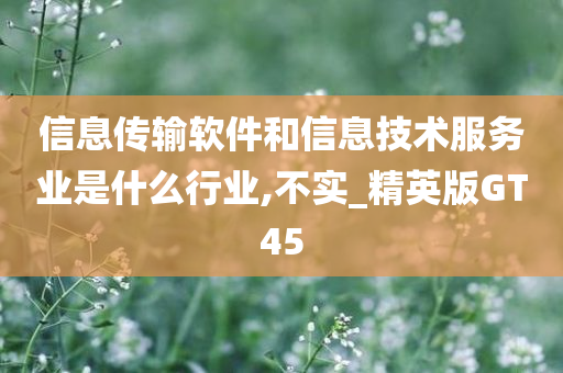 信息传输软件和信息技术服务业是什么行业,不实_精英版GT45