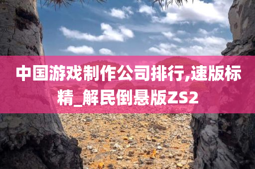 中国游戏制作公司排行,速版标精_解民倒悬版ZS2