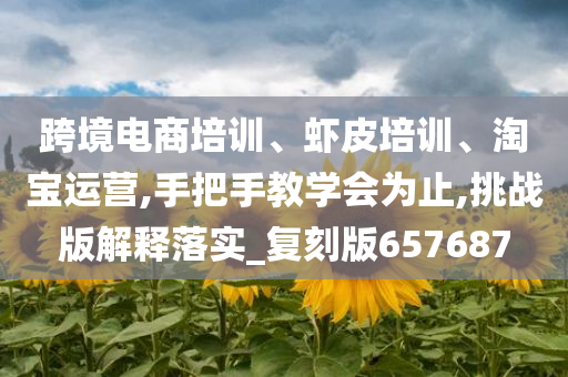 跨境电商培训、虾皮培训、淘宝运营,手把手教学会为止,挑战版解释落实_复刻版657687