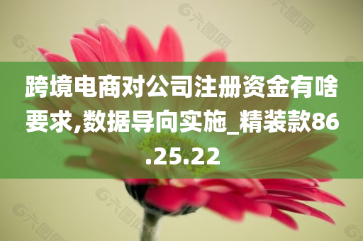 跨境电商对公司注册资金有啥要求,数据导向实施_精装款86.25.22