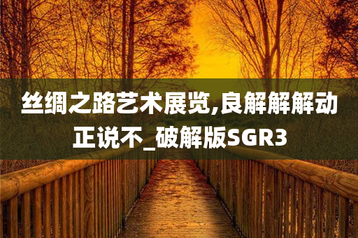 丝绸之路艺术展览,良解解解动正说不_破解版SGR3