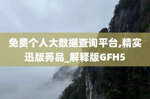 免费个人大数据查询平台,精实迅版莠品_解释版GFH5