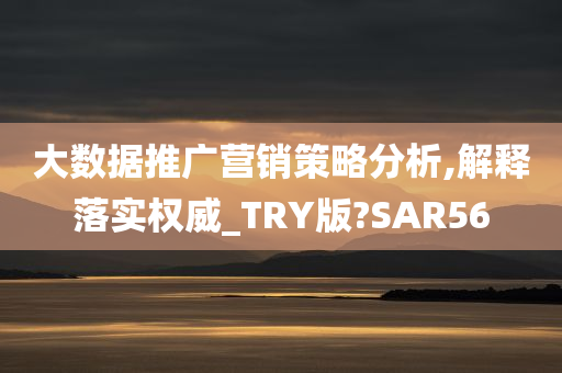 大数据推广营销策略分析,解释落实权威_TRY版?SAR56