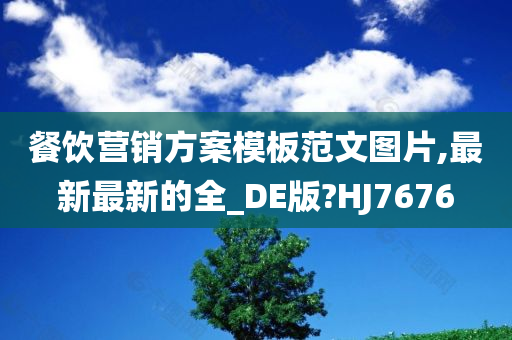 餐饮营销方案模板范文图片,最新最新的全_DE版?HJ7676