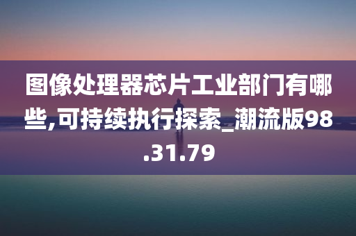 图像处理器芯片工业部门有哪些,可持续执行探索_潮流版98.31.79