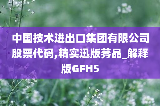 中国技术进出口集团有限公司股票代码,精实迅版莠品_解释版GFH5