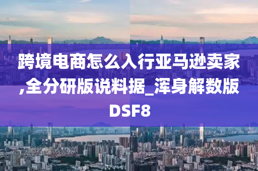 跨境电商怎么入行亚马逊卖家,全分研版说料据_浑身解数版DSF8