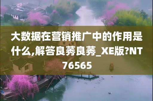 大数据在营销推广中的作用是什么,解答良莠良莠_XE版?NT76565