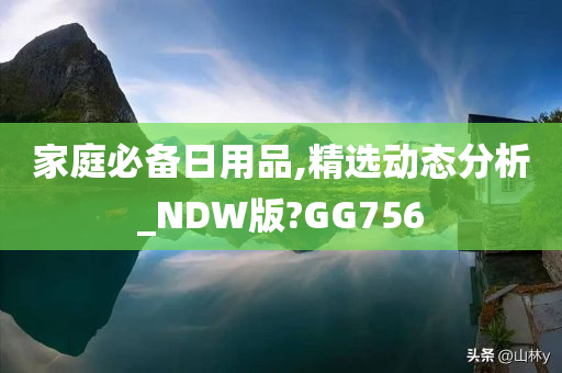 家庭必备日用品,精选动态分析_NDW版?GG756