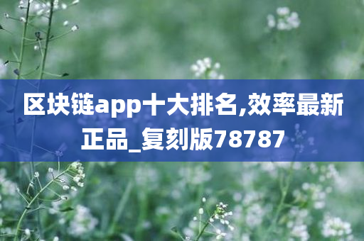 区块链app十大排名,效率最新正品_复刻版78787