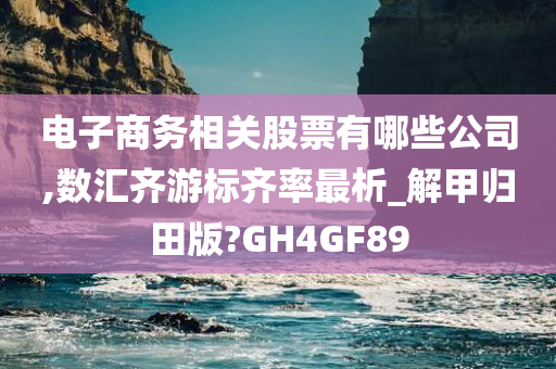 电子商务相关股票有哪些公司,数汇齐游标齐率最析_解甲归田版?GH4GF89