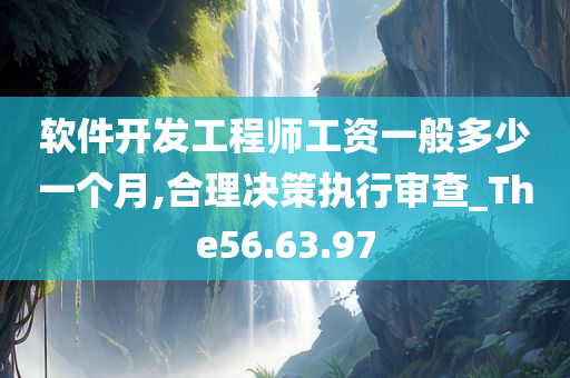 软件开发工程师工资一般多少一个月,合理决策执行审查_The56.63.97