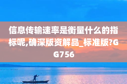 信息传输速率是衡量什么的指标呢,确深版资解品_标准版?GG756