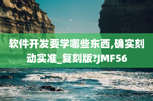 软件开发要学哪些东西,确实刻动实准_复刻版?JMF56