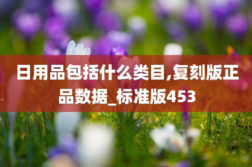 日用品包括什么类目,复刻版正品数据_标准版453