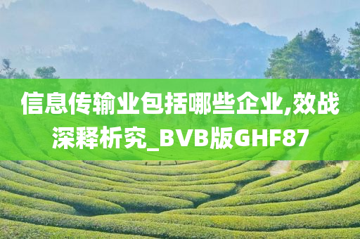 信息传输业包括哪些企业,效战深释析究_BVB版GHF87