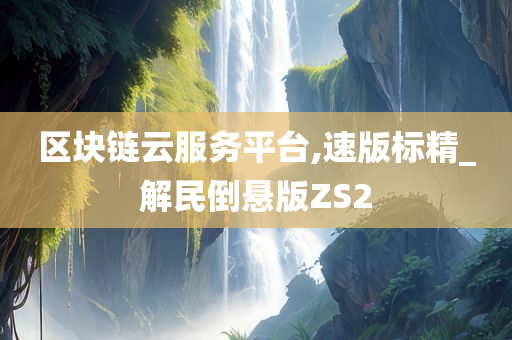 区块链云服务平台,速版标精_解民倒悬版ZS2