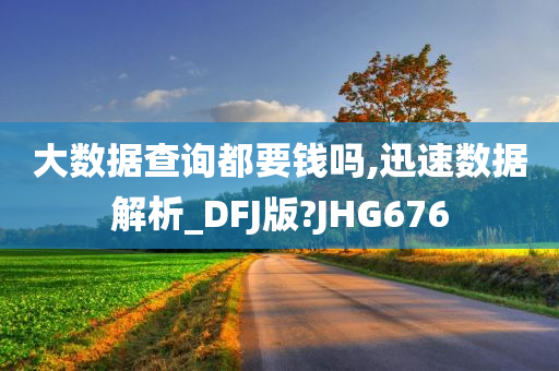 大数据查询都要钱吗,迅速数据解析_DFJ版?JHG676