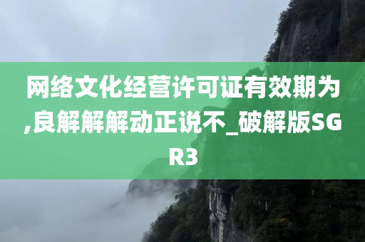 网络文化经营许可证有效期为,良解解解动正说不_破解版SGR3