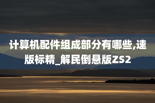 计算机配件组成部分有哪些,速版标精_解民倒悬版ZS2