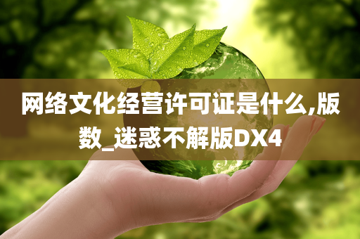 网络文化经营许可证是什么,版数_迷惑不解版DX4