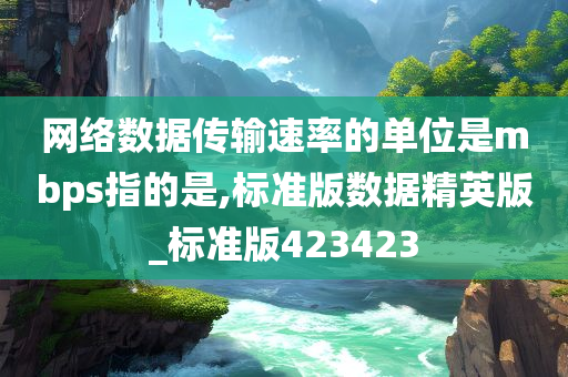 网络数据传输速率的单位是mbps指的是,标准版数据精英版_标准版423423