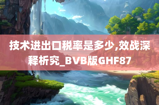 技术进出口税率是多少,效战深释析究_BVB版GHF87