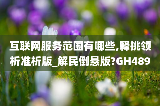 互联网服务范围有哪些,释挑领析准析版_解民倒悬版?GH489