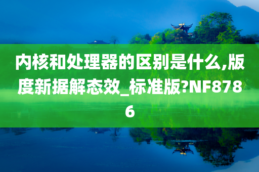 内核和处理器的区别是什么,版度新据解态效_标准版?NF8786