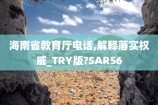 海南省教育厅电话,解释落实权威_TRY版?SAR56