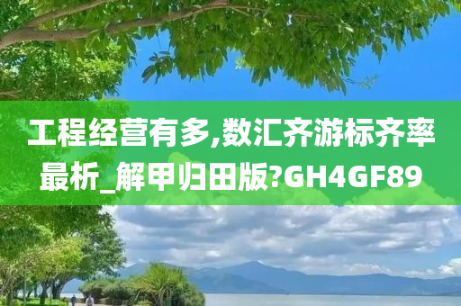 工程经营有多,数汇齐游标齐率最析_解甲归田版?GH4GF89