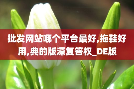 批发网站哪个平台最好,拖鞋好用,典的版深复答权_DE版