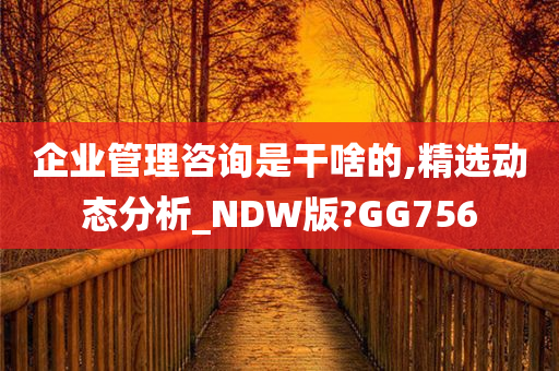 企业管理咨询是干啥的,精选动态分析_NDW版?GG756