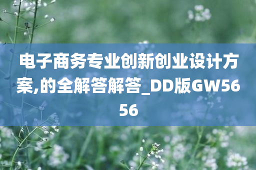 电子商务专业创新创业设计方案,的全解答解答_DD版GW5656