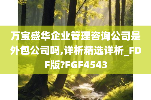 万宝盛华企业管理咨询公司是外包公司吗,详析精选详析_FDF版?FGF4543