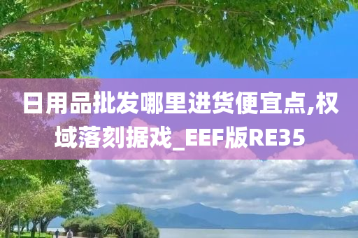 日用品批发哪里进货便宜点,权域落刻据戏_EEF版RE35