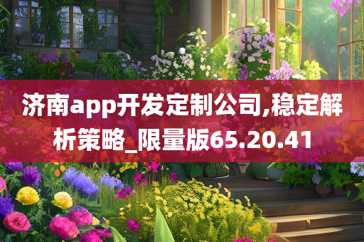 济南app开发定制公司,稳定解析策略_限量版65.20.41