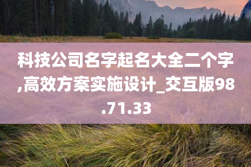 科技公司名字起名大全二个字,高效方案实施设计_交互版98.71.33