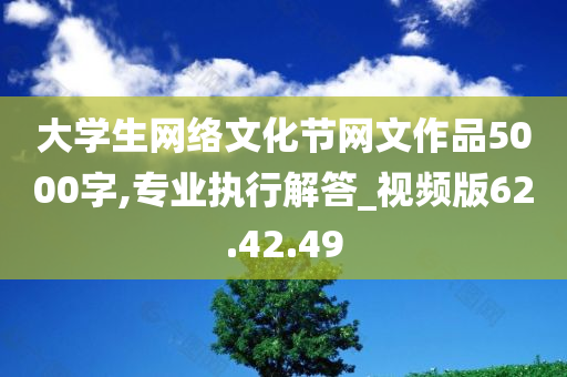 大学生网络文化节网文作品5000字,专业执行解答_视频版62.42.49