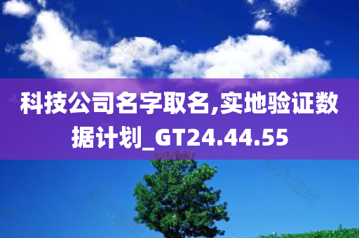 科技公司名字取名,实地验证数据计划_GT24.44.55