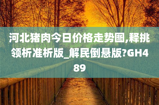 河北猪肉今日价格走势图,释挑领析准析版_解民倒悬版?GH489