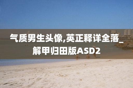 气质男生头像,英正释详全落_解甲归田版ASD2